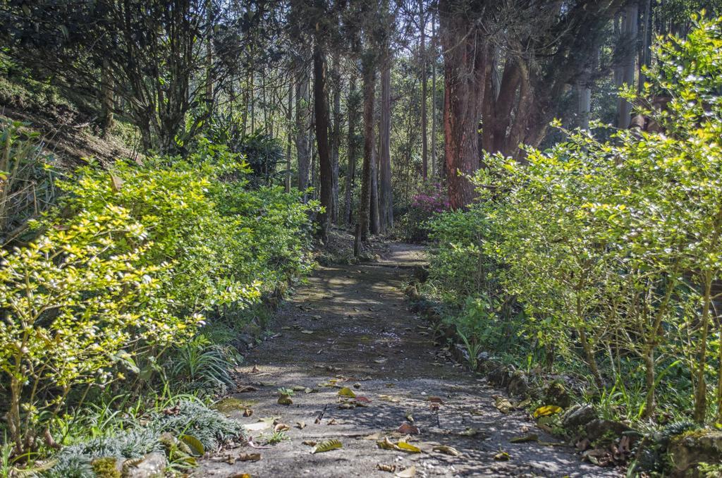 Pousada A Casa Da Fazenda ซานโต อังตัวนิโอ โด ปิงญัล ภายนอก รูปภาพ